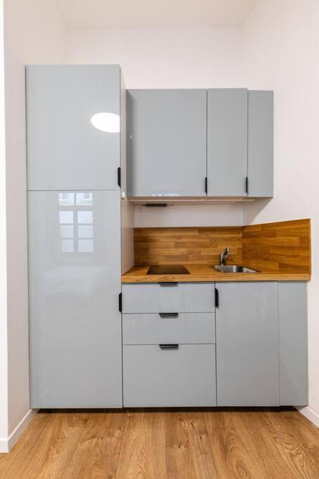 Tres Chic Studio/Petite France 斯特拉斯堡 外观 照片